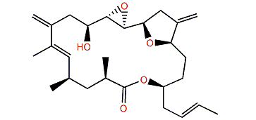 Amphidinolide K